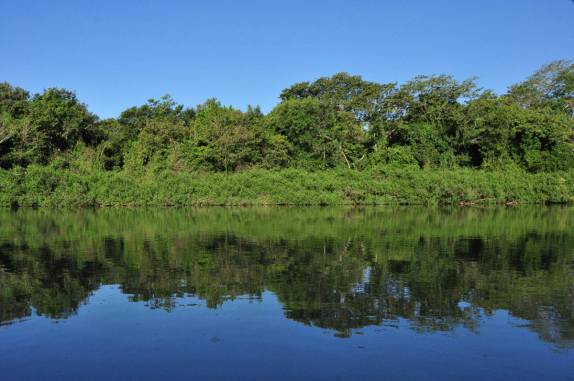Rio Cuiabá, região de Porto Jofre, no final da rodovia Transpantaneira, no Pantanal Norte, no Mato Grosso